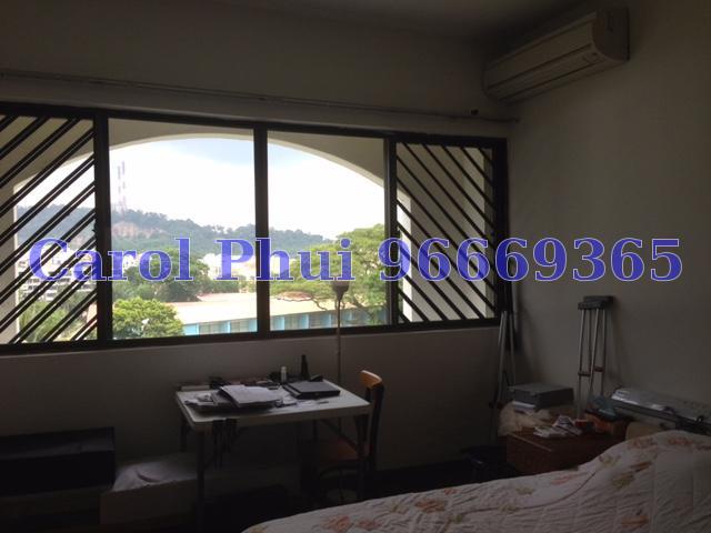 Kismis View (Enbloc) (D21), Condominium #63538822
